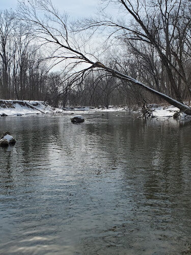 Black River Reservation
