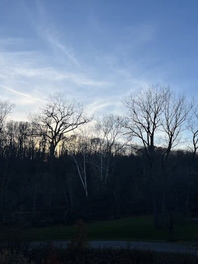 Black River Reservation - Elyria, OH