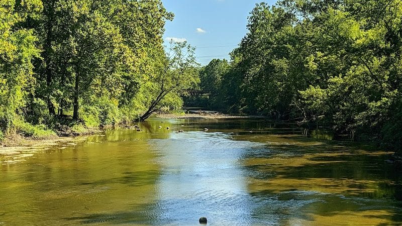 Black River Reservation Bur Oak - Elyria, OH