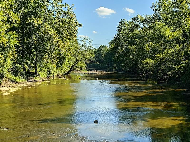Black River Reservation Bur Oak - Elyria, OH