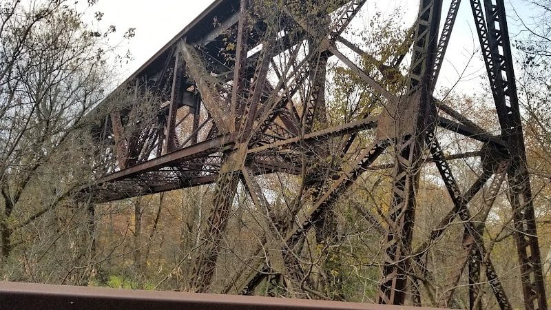 Black River Reservation Bur Oak - Elyria, OH