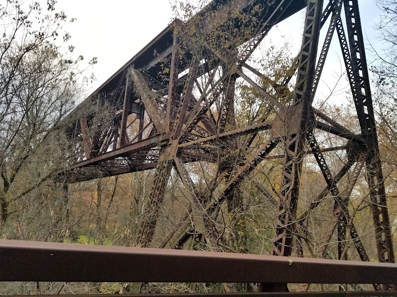 Black River Reservation Bur Oak - Elyria, OH