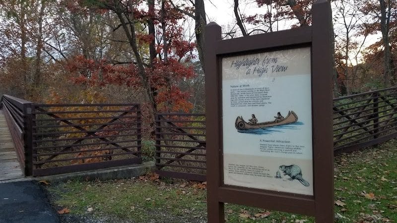 Black River Reservation Bur Oak - Elyria, OH