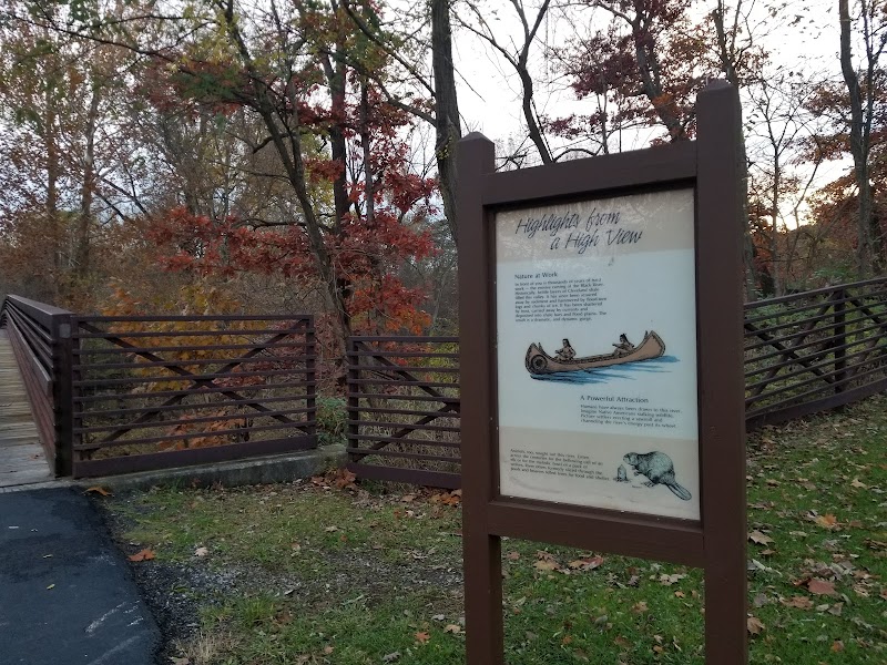 Black River Reservation Bur Oak - Elyria, OH