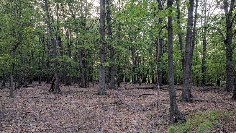 Black River Reservation High Meadows - Elyria, OH