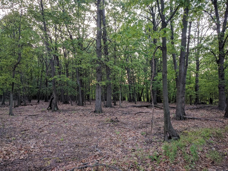 Black River Reservation High Meadows - Elyria, OH
