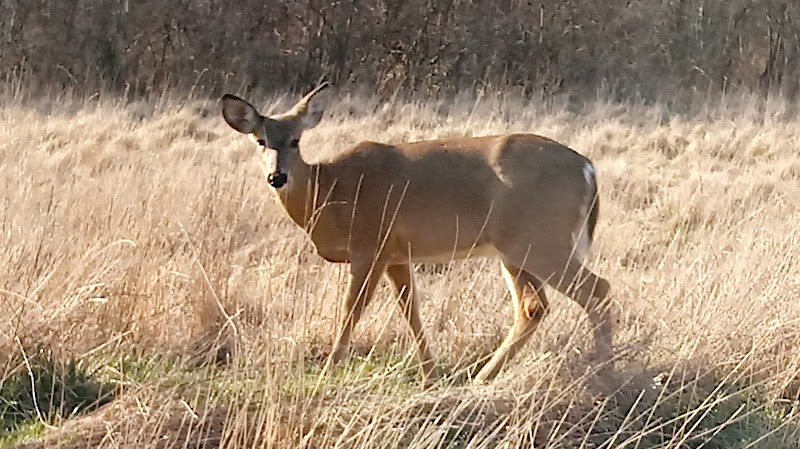 Black River Reservation High Meadows - Elyria, OH