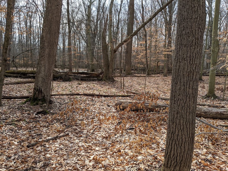 Carlisle Reservation Duck Ponds - Elyria, OH