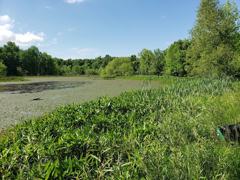 Carlisle Reservation Duck Ponds - Elyria, OH