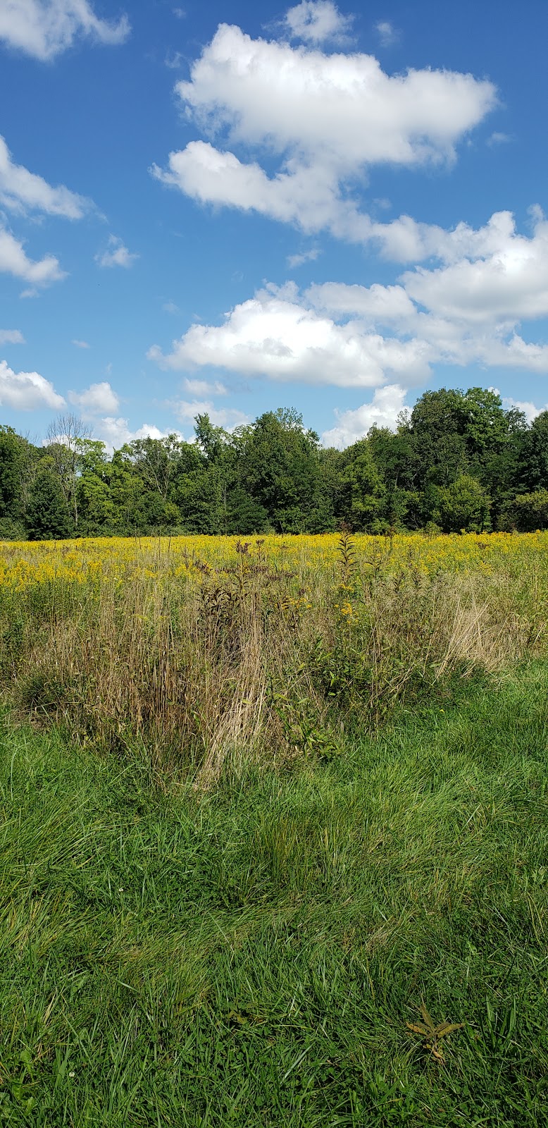 Carlisle Reservation Duck Ponds - Elyria, OH
