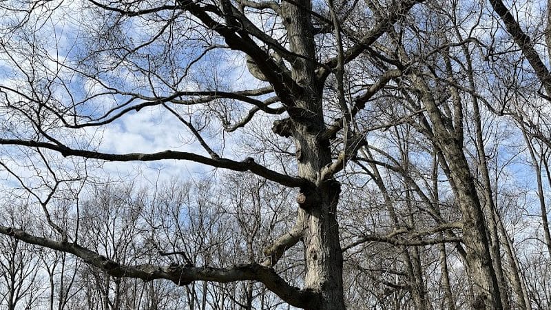 East Park - Elyria, OH
