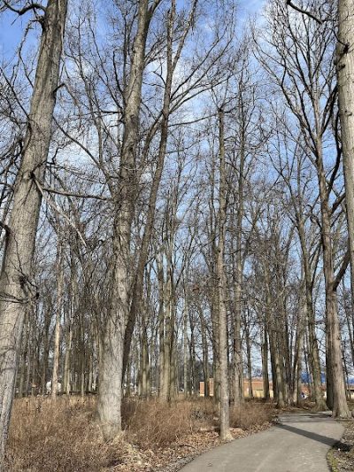 East Park - Elyria, OH