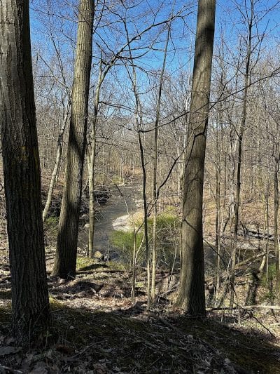 Finwood Forest Park - Elyria, OH