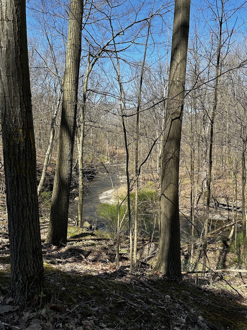 Finwood Forest Park - Elyria, OH