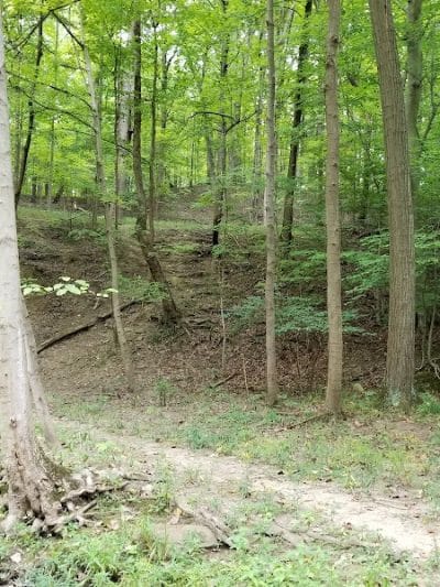 Finwood Forest Park - Elyria, OH