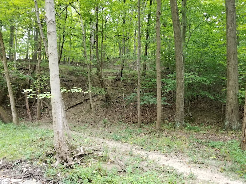 Finwood Forest Park - Elyria, OH