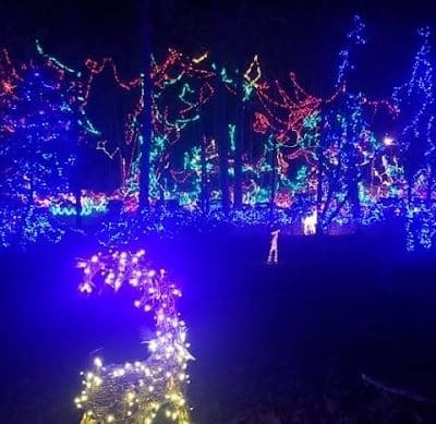 Finwood Forest Park - Elyria, OH