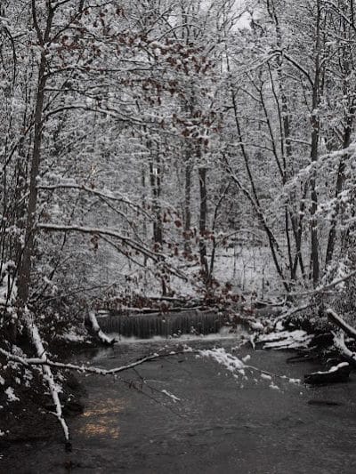 Finwood Forest Park - Elyria, OH