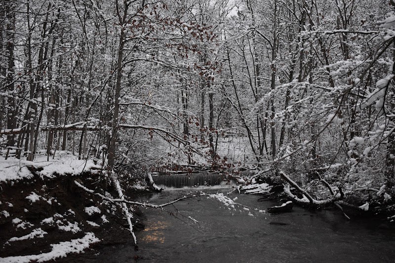 Finwood Forest Park - Elyria, OH