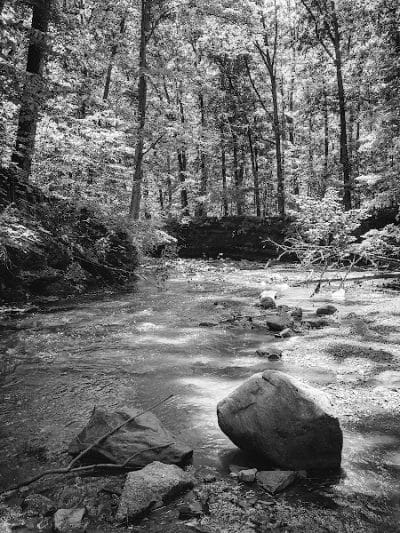 Finwood Forest Park - Elyria, OH