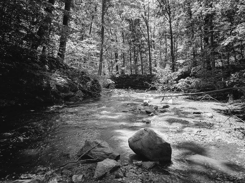 Finwood Forest Park - Elyria, OH