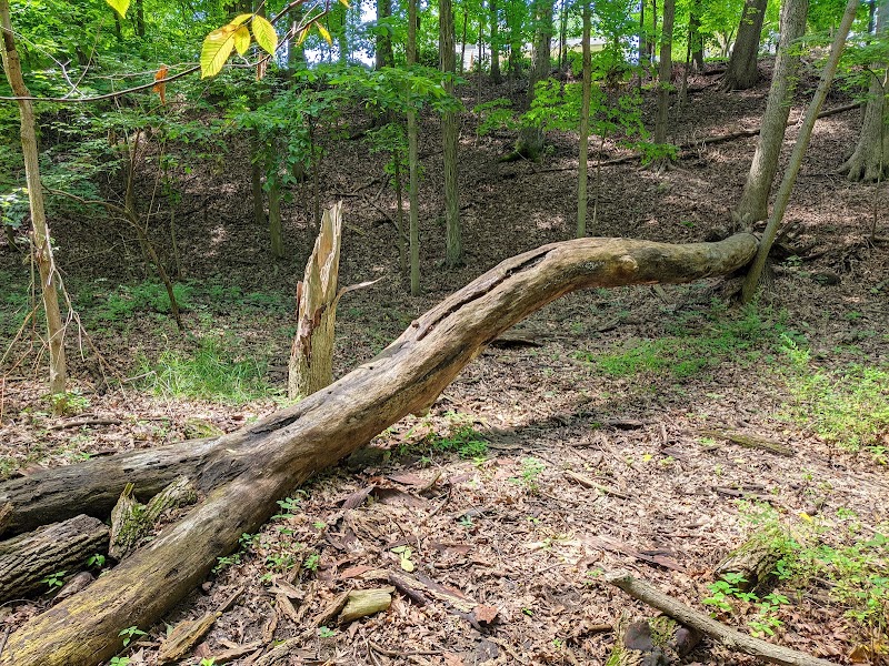 Finwood Forest Park - Elyria, OH