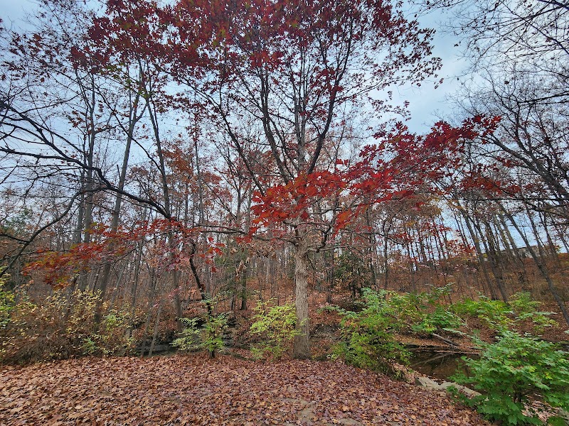 Finwood Forest Park - Elyria, OH