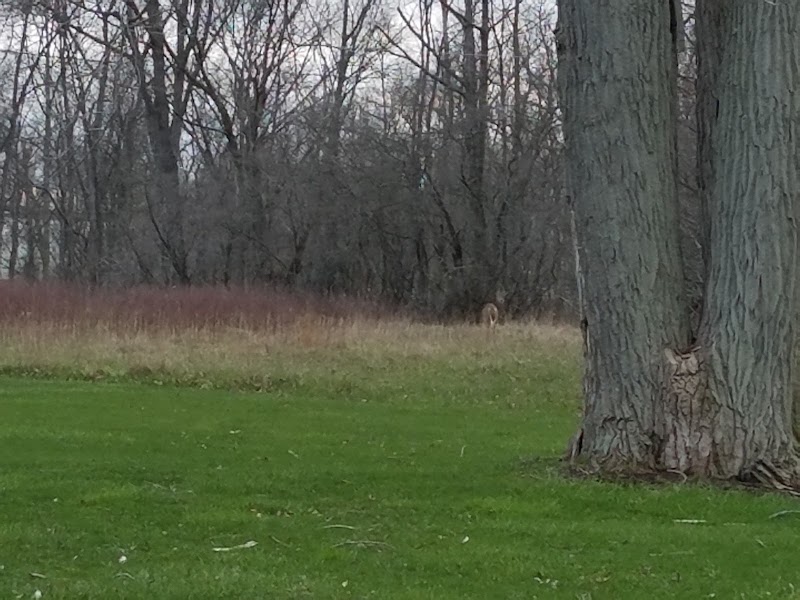 Lorain County Metro Parks High Meadows Shelter #1 - Elyria, OH