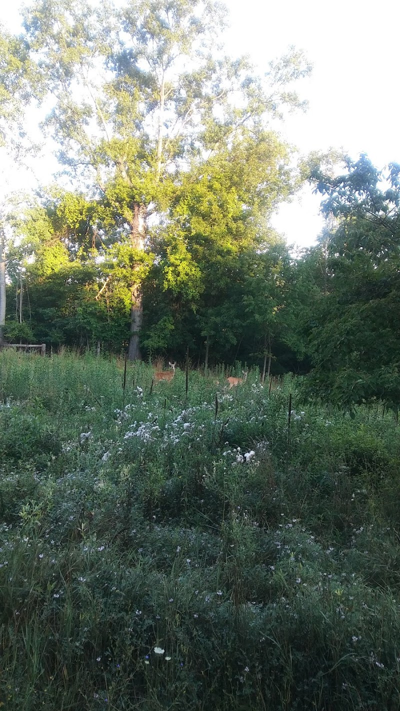 Lorain County Metro Parks High Meadows Shelter #1 - Elyria, OH