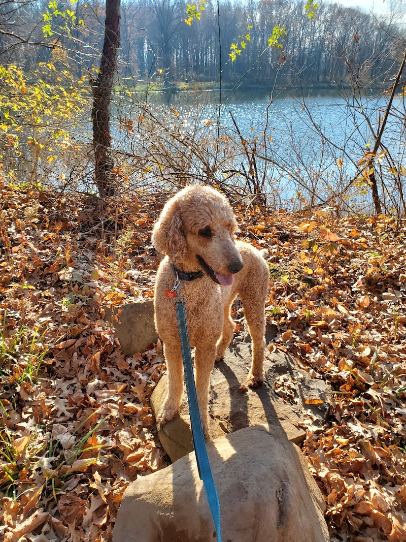 Rowland Nature Preserve - Elyria, OH