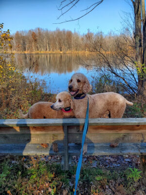 Rowland Nature Preserve