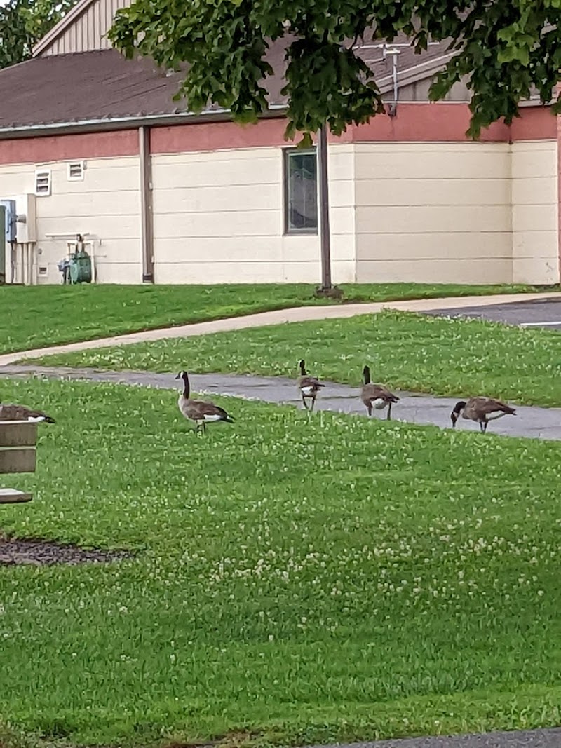 West Recreation Field - Elyria, OH