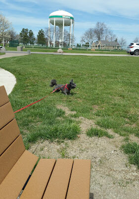Centennial Park
