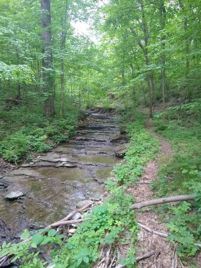 Englewood MetroPark West Park - Englewood, OH