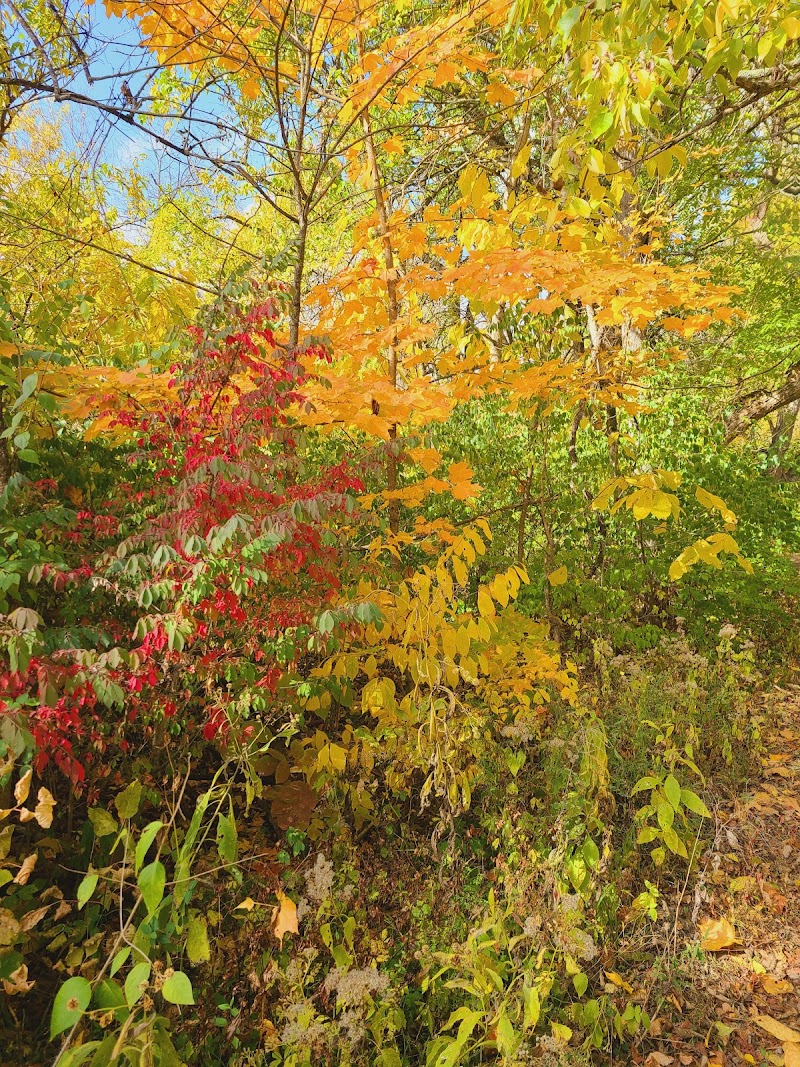 Englewood MetroPark West Park - Englewood, OH