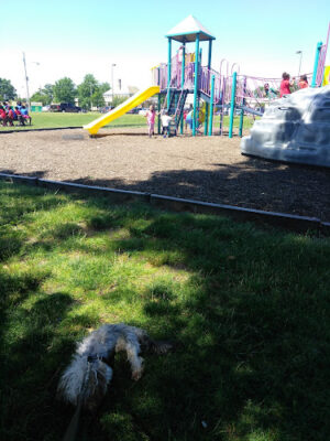 Euclid Memorial Park