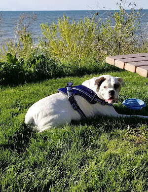 Euclid Park