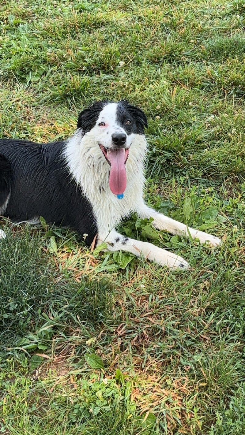 Sandhill Dog Park - Fairborn, OH