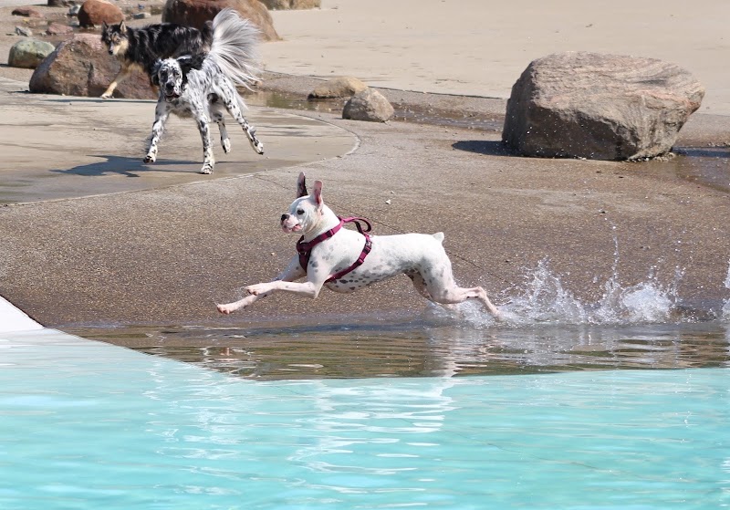 Furfield Dog Park - Fairfield, OH