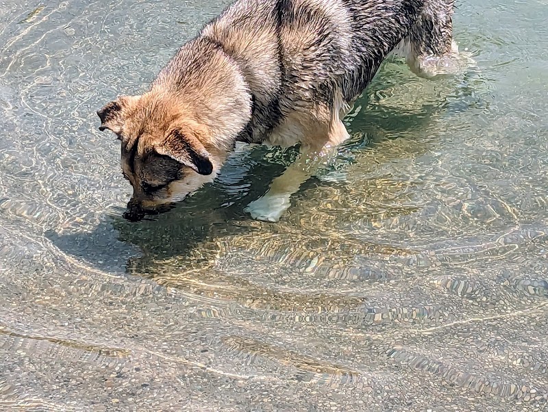 Furfield Dog Park - Fairfield, OH