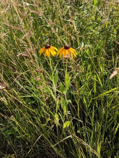 Fairlawn Park - Fairlawn, OH