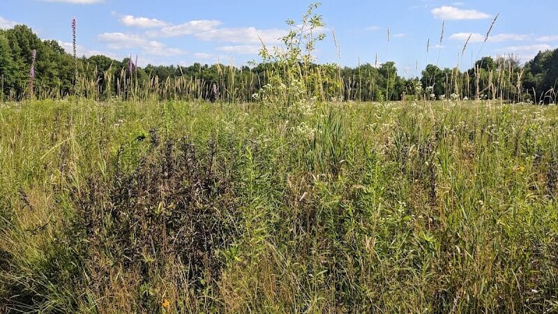 Fairlawn Park - Fairlawn, OH