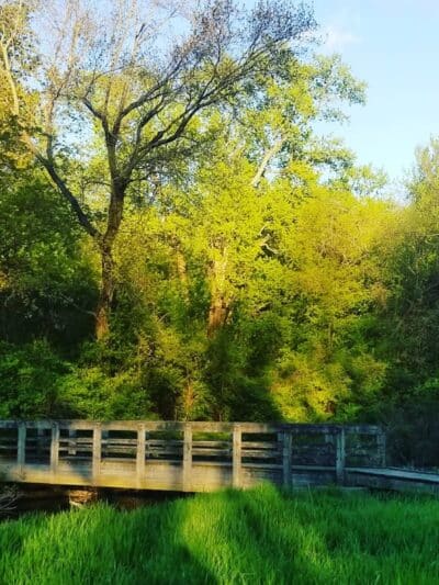 Fort Island / Griffiths Park - Fairlawn, OH