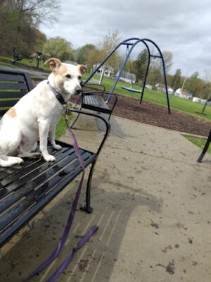 Nelson Russ Park