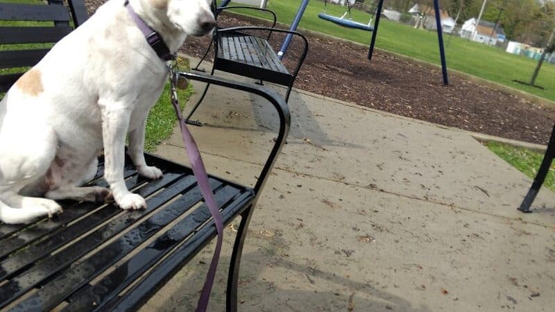 Nelson Russ Park - Fairview Park, OH