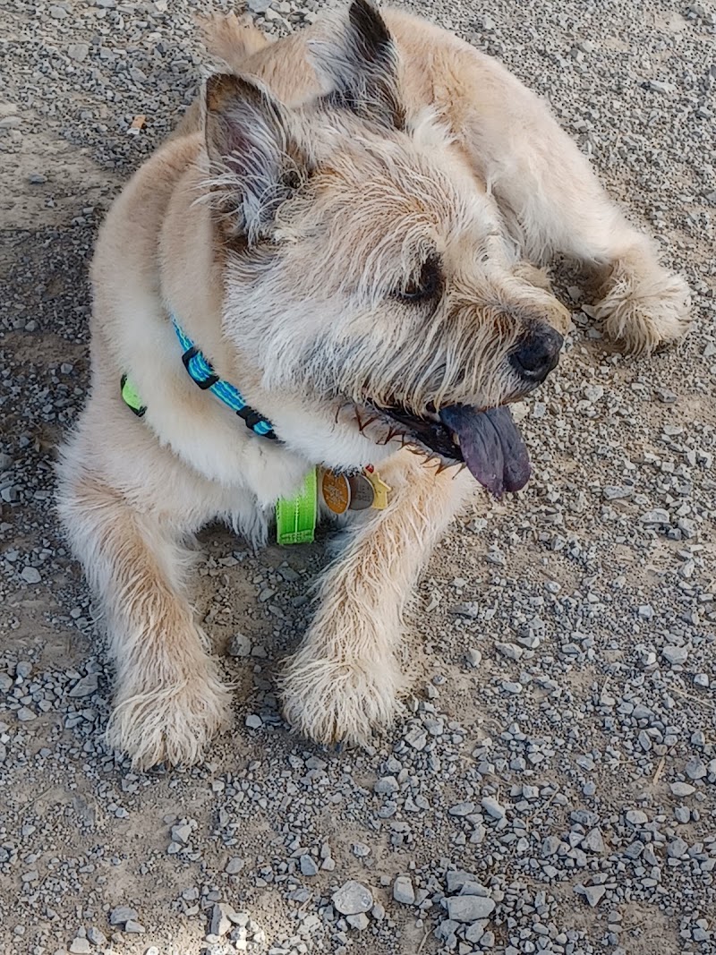 K-9 Field of Dreams Dog Park - Findlay, OH