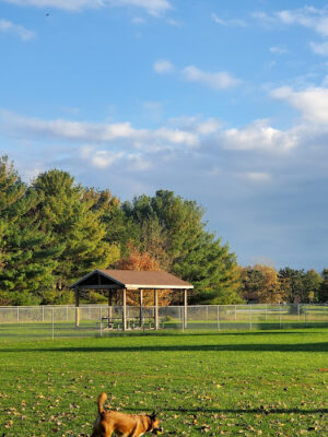 K-9 Field of Dreams Dog Park