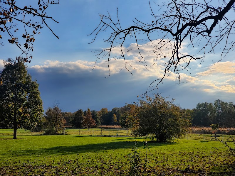 K-9 Field of Dreams Dog Park - Findlay, OH