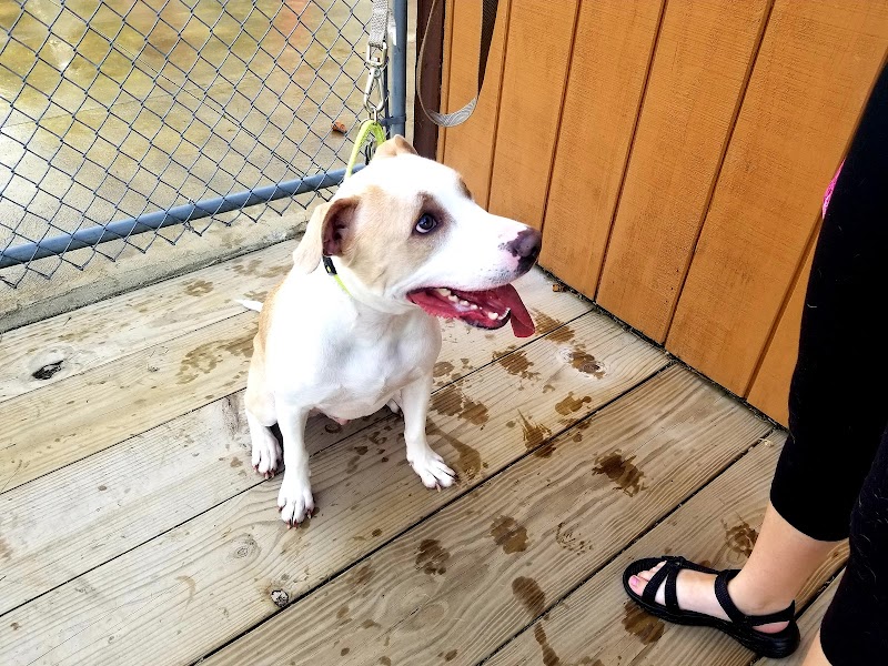 K-9 Field of Dreams Dog Park - Findlay, OH