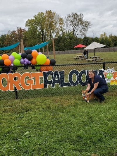 The Bark Park & Patio - Florence, KY